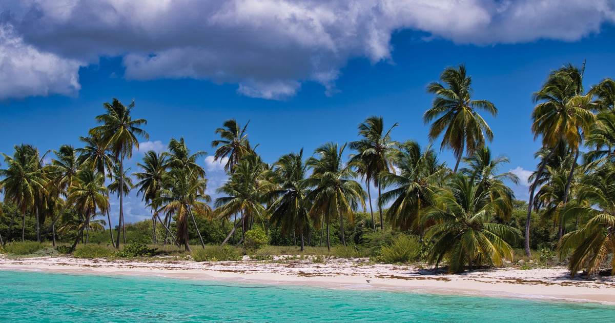 Пальмы наклонились над белым песком у бирюзовой воды, над ними синее небо с кучевыми облаками