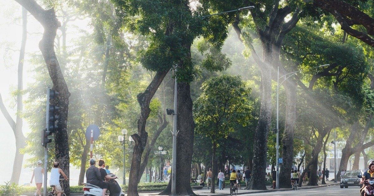 Утреннее солнце пробивается сквозь деревья над улицей в районе Хоанкьем в Ханое, по проезжей части едут мотобайки