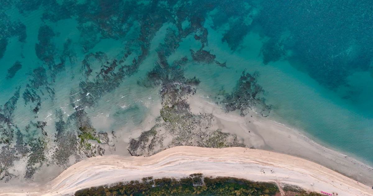 Вид сверху на коралловый риф у песчаного пляжа, бирюзовая вода переходит в тёмно-синюю